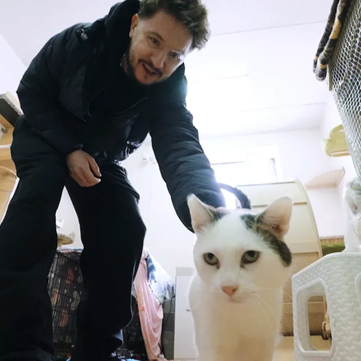 Денис Кукояка @denisque